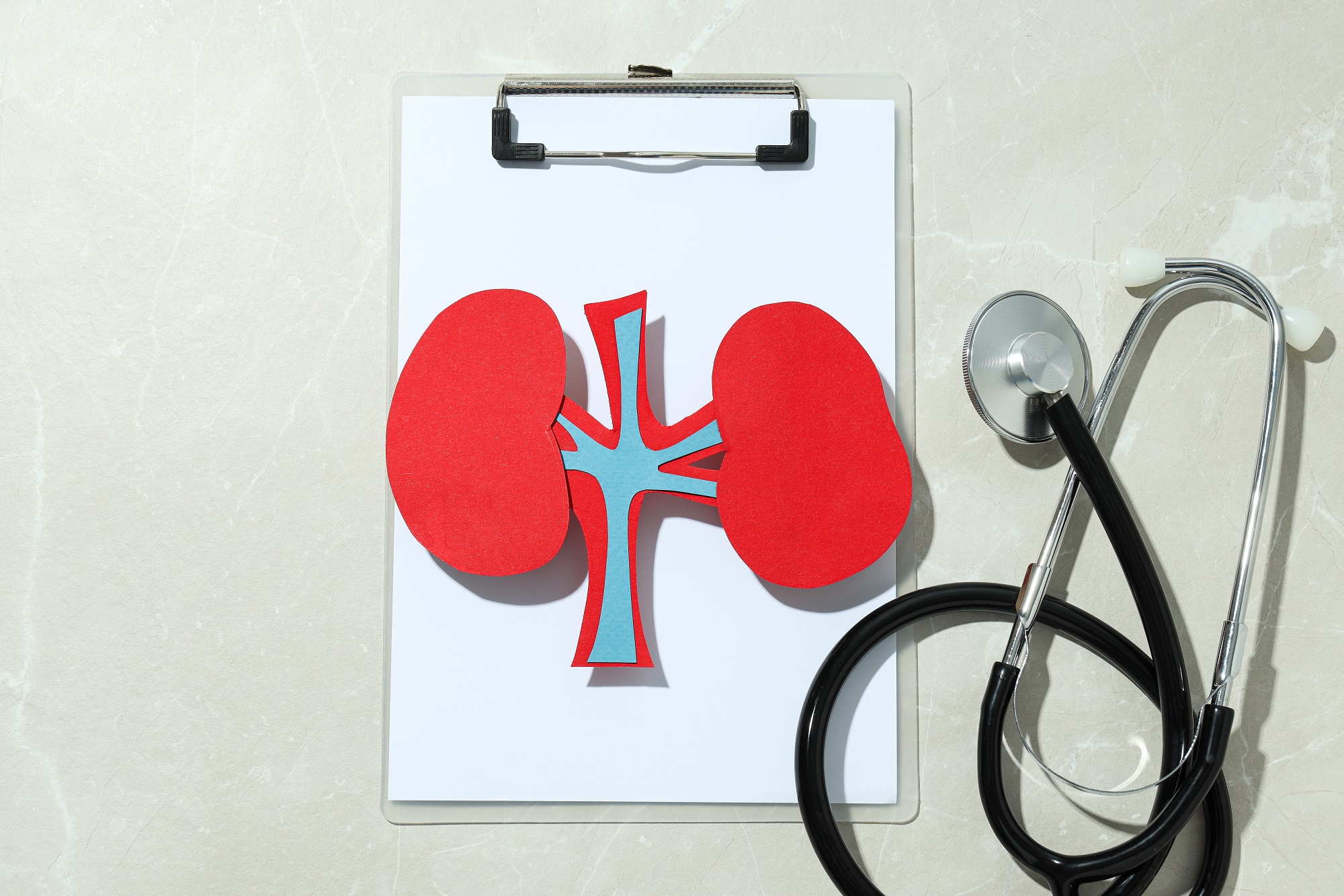 Renal Function Test (RFT) at Home | RFT Near Me: Understanding Your ...