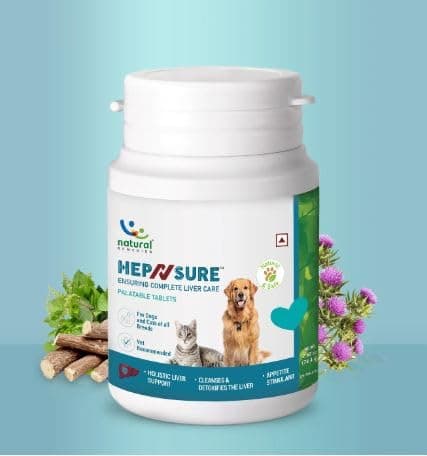 HepNsure - Liver Care for Dogs & Cats of All Breeds - Pack of 10 Tablets