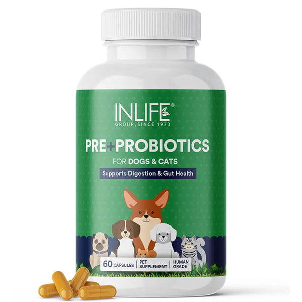 INLIFE Prebiotics and Probiotics for Dogs Cats and Pets | Supplement for Gut Health | Lactobacillus Bacteria for Digestive Health Immunity Booster - 60 Capsules